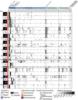 Vaginal microbiota of adolescents and their mothers: A preliminary study of vertical transmission and persistence